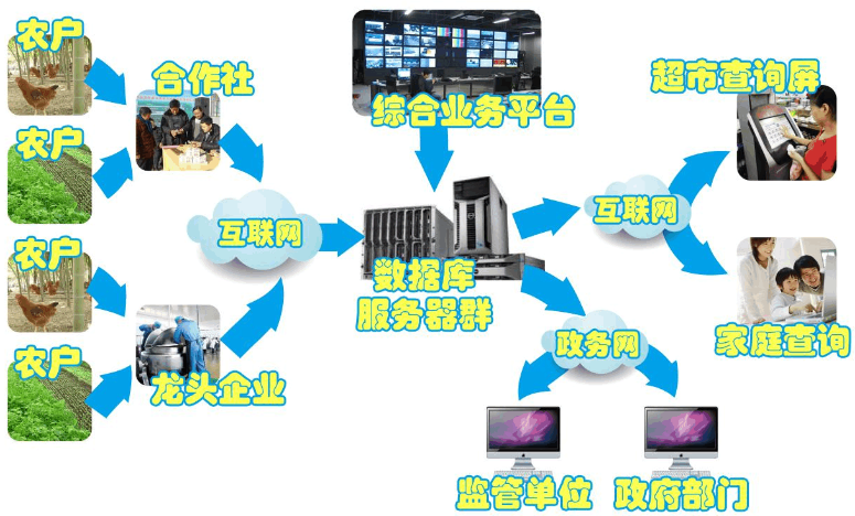 建设农产品溯源系统的目的与信息技术咨询服务的角色